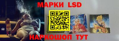 гашик Шелехов