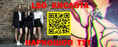 гашик Шелехов