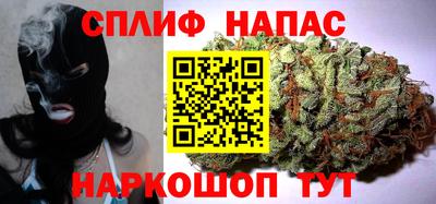 гашик Шелехов
